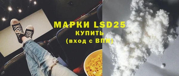 PSILOCYBIN Новодвинск